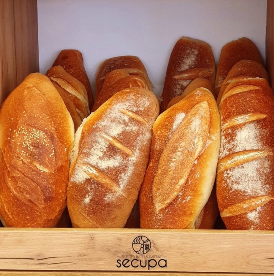 Bread